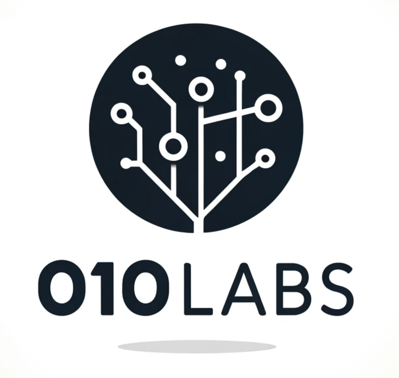 010LABS